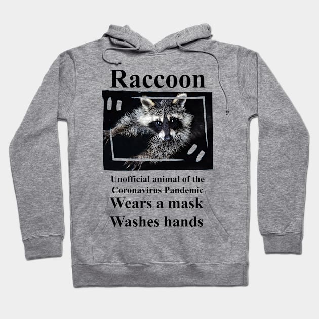 Raccoon ... Hoodie by DeVerviers